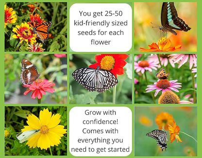 Butterfly Garden Flower Seed Starter Kit - Grow 6 Types of Wildflower Seeds Including Milkweed, Coreopsis, Cosmos, Echinacea, Gaillardia and Zinnia Seeds
