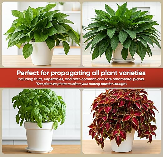 Hormex Rooting Powder #1 (0.10% IBA) for Delicate Houseplants, Succulents & Herbs - Gentle Root Powder, Root Stimulator for Plants, Rooting Hormone for Cuttings, Cloning, & Softwood Propagation