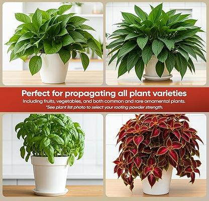 Hormex Rooting Powder #1 (0.10% IBA) for Delicate Houseplants, Succulents & Herbs - Gentle Root Powder, Root Stimulator for Plants, Rooting Hormone for Cuttings, Cloning, & Softwood Propagation
