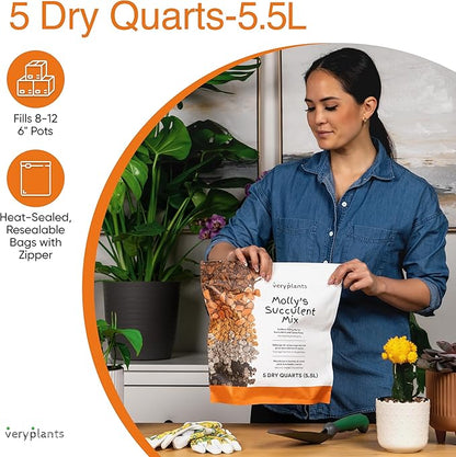 Molly's Succulent Mix - Premium Gritty Soilless Potting Mix for Succulents, Cactus and Bonsai - Contains Akadama, Hyuga, Bark Fines, Pumice, Lava Rock, Mycorrhizae 5 Dry Quarts