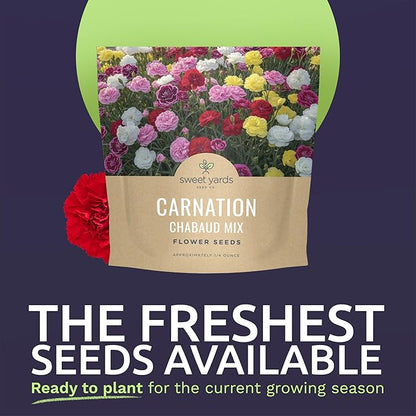 Carnation Chabaud Mix – Large 1/4 Ounce Seed Packet – 4,000 Flower Seeds for Planting – Dianthus caryophyllus