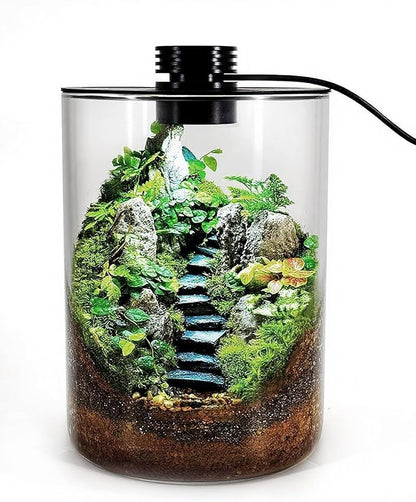 Desktop Glass Terrarium with Grow Light (7.5" H x 5.9" D) - for Succulents, Moss, Mini Gardens, Betta Fish Tanks, Mushroom Cultivation | Indoor Plant Growth | Office/Home Decor | Plant Lover Gifts