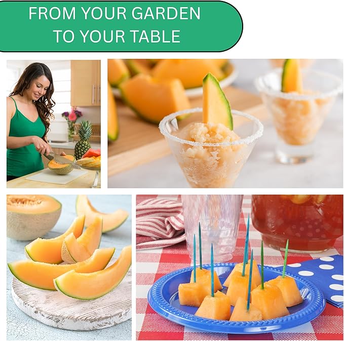Hales Best Jumbo Cantaloupe Seeds for Planting – Heirloom, Non-GMO Melon Seeds for Home Gardens, Large Sweet Cantaloupes with Juicy Orange Flesh | Woods Creek Seeds