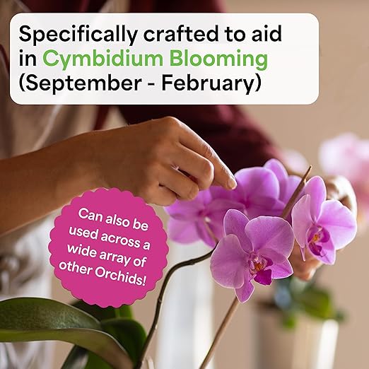Grow More Premium Bloom Formula 6-30-30 Orchid Food Fertilizer - 1.25lbs of Water Soluble Fertilizer for Orchids of Vibrant Growth During Dormant Season - Orchid Food for Blooming Vibrant Flowers