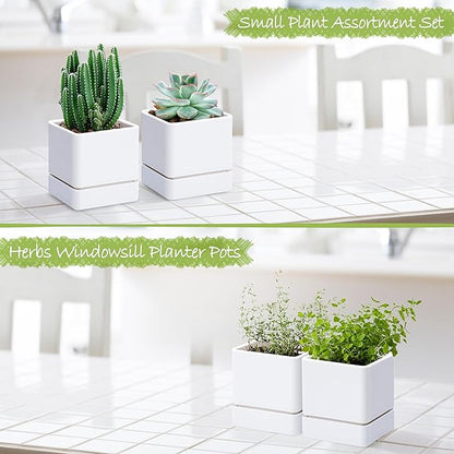 D'vine Dev 4 Inch Herb Planter Pot, Plastic Planter with Drainage Holes and Saucer, Modern Decorative Gardening Pot for Indoor Plants, Flowers, Herbs, Succulents, White, Set of 2, 76-Y-A2-1