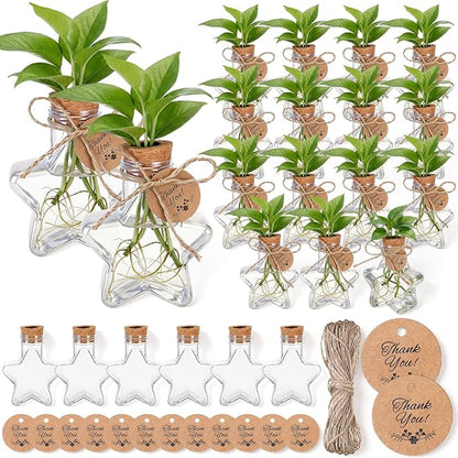 Baderke 24 Pack 3.74'' Plastic Plant Propagation Stations with Hole Lid 5oz Planter Vase Clear Propagation Jars with Thank You Tags for Plant Lover Gifts for Women Office Home Garden