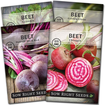 Sow Right Seeds - Beet Seeds for Planting - Detroit Dark Red, Golden Globe, Chioggia & Cylindra Varieties - Non-GMO Heirloom Seeds to Plant Home Vegetable Garden - Great Gift for Friends and Family