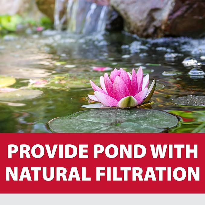 The Pond Guy Small Black Outdoor Planting Kit - Bag & Soil for Water Lilies & Bog Plants - 6 Quarts - Rectangular - Modern - Aeration - Adaptable Shape