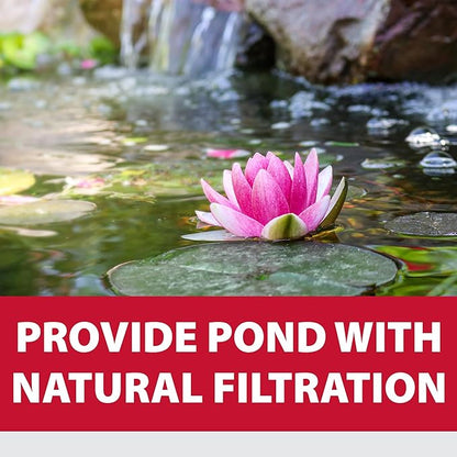 The Pond Guy Small Black Outdoor Planting Kit - Bag & Soil for Water Lilies & Bog Plants - 6 Quarts - Rectangular - Modern - Aeration - Adaptable Shape