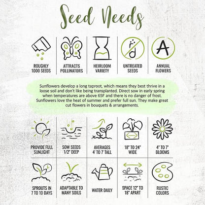 Seed Needs Sunflower Seeds to Plant Sunset Blend 7 Varieties Mix | 1000+ Seeds Helianthus Annuus Heirloom Open Pollinated Bulk Flower Seed | Multicolored Sun Flowers