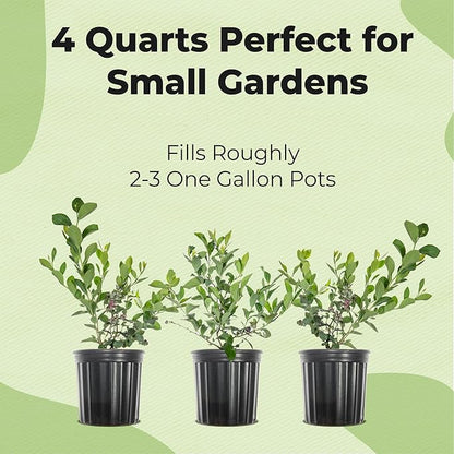 Specialty Blueberry Potting Mix by Perfect Plants | Organic Premium Mix | Use with Blueberry's, Raspberry, or Other Fruit Shrubs (4qt)