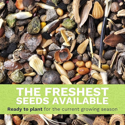 Southeast Regional Mix - Large 1 Ounce Packet - 12,000 Flower Seeds for Planting - Wildflower Mix