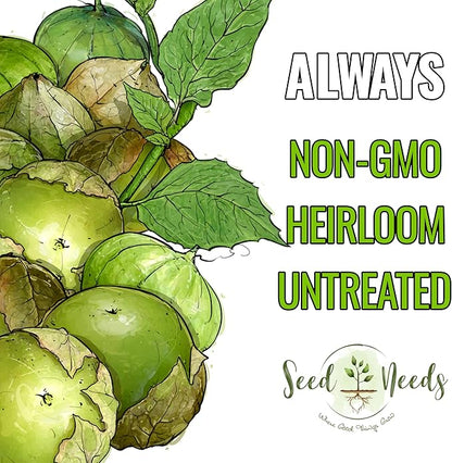Seed Needs Tomatillo Seeds for Planting Grande Rio Verde Tomatillos - Non-GMO Heirloom & Untreated - Grow a Home Grown Outdoor Vegetable Garden - Great for Salsa & Mexican Cuisine (5 Packs)