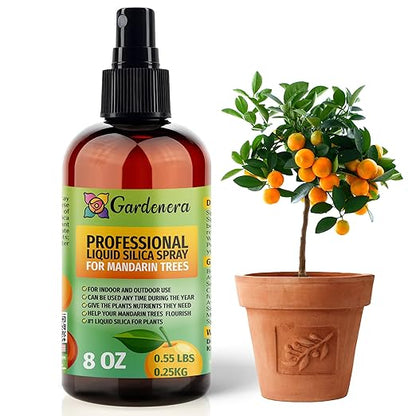 𝐒𝐔𝐏𝐄𝐑𝐈𝐎𝐑 Liquid Silica Boost Fertilizer and Supplement Spray for Mandarin Trees – Pre-Mixed, Ready-to-Use Liquid Silicon Plant Superfood Mist for Indoor & Outdoor Plants – 8oz
