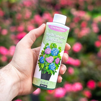 Premium Liquid Hydrangea Fertilizer by Perfect Plants | Bloom Booster | Fertilizer for Hydrangeas and Other Flowering Plants (8 fl oz)