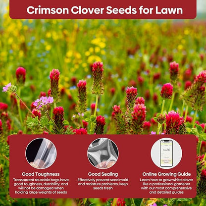 Crimson Clover Seeds, 5 lbs, Annual Red Clover Seeds for Lawn Alternative, Attracts Pollinators, Nitrocoated and Inoculated Seeds