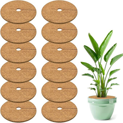 ZeeDix 12 Pack Coconut Fiber Mulch Ring, 11.8 Inch Coco Coir Tree Ring Mulch Mat, 100% Natural Tree Protector Mat Plant Cover Ring Coconut Coir Discs Tree Mats Mulch Rings for Indoor Outdoor Plants