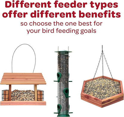Kaytee Nyjer Wild Bird Food Seed, 5 Pound