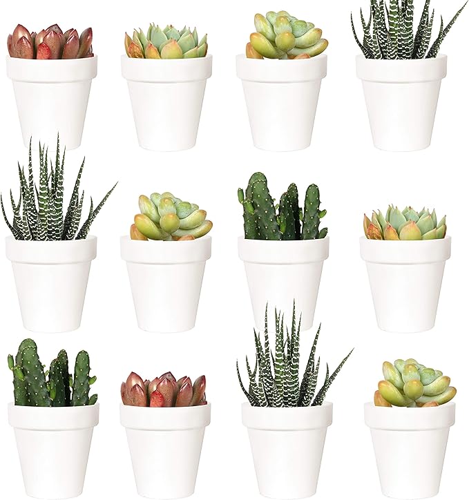 Youngever 24 Pack 2 Inch Mini Plastic Planters, Indoor Flower Plant Pots, White Gardening Pot with Drainage - NO Plant Included (Classic)