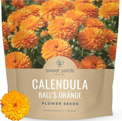 SWEET YARDS Calendula Balls Orange