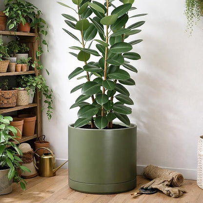 D'vine Dev 16 Inch Ceramic Planter Pot with Drainage Hole and Saucer, Indoor Cylinder Round Planter Pot, Olive, 94-O-H-J