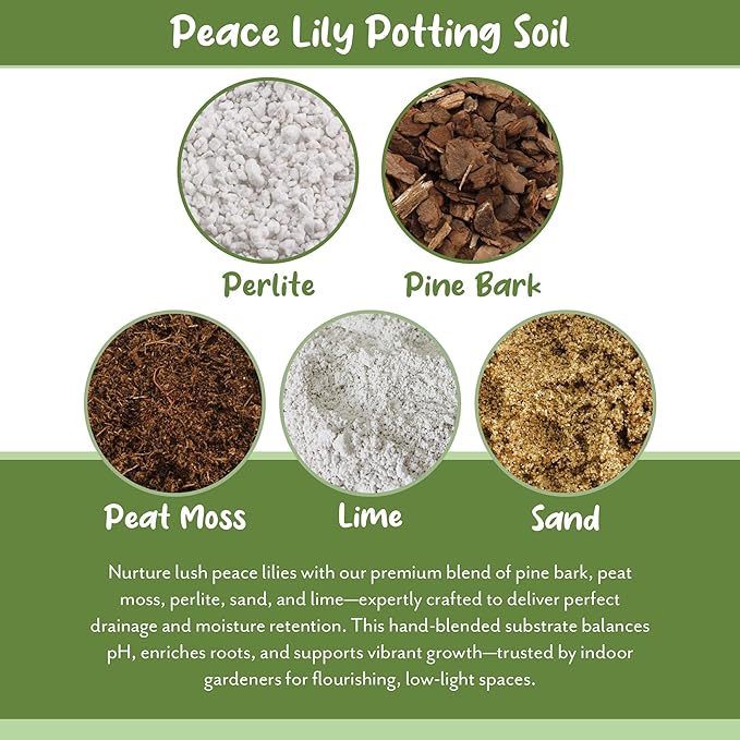 Soil Sunrise Peace Lily Potting Soil Mix (12 Quarts) for Planting, Growing, or Repotting Peace Lily Plants