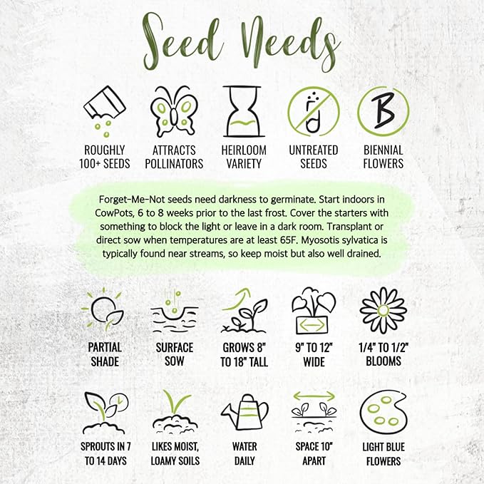 Seed Needs Forget Me Not Seed Packet Favors - Thoughtful Gifts/Handouts for a Memorial or Funeral Service to Remember Loved Ones - Sowing Seeds in Remembrance (30 Packets)