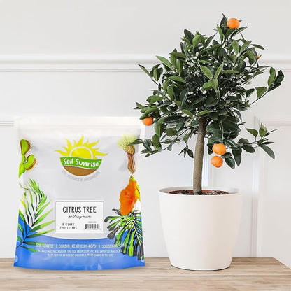 Soil Sunrise Citrus Tree Potting Soil Mix (8 Quarts) Special Blend for Indoor Oranges, Lemons, Limes and More