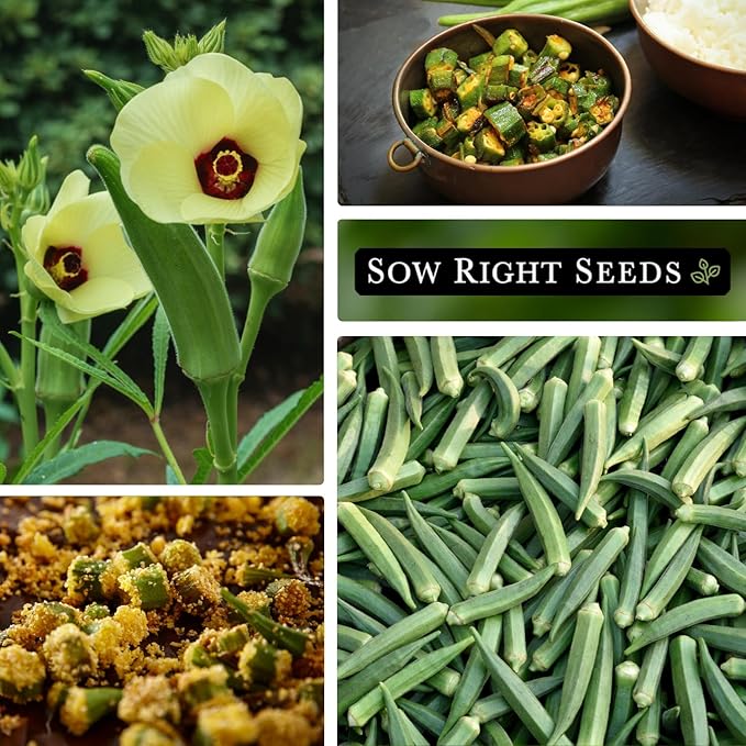 Sow Right Seeds - Emerald Okra Seeds for Planting - Non-GMO Heirloom Packet with Instructions to Plant a Home Vegetable Garden - Classic Green Pods on Tall Stalks - Make Fried Okra (2)
