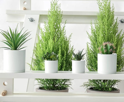 D'vine Dev 10 Pack Plastic Plant Pots for Plants, 6.5/6/5.5/5/4.5/4/3.5/3/2.5/2 Inch Indoor Planters Cylindrical Succulent Pot with Drainage Hole and Saucer, White, 74-S-A
