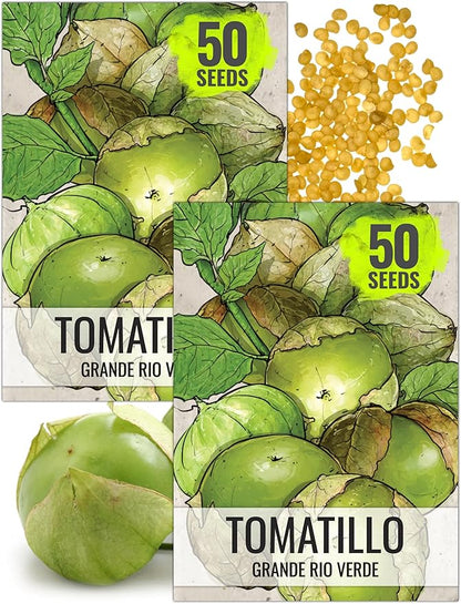 Seed Needs Grande Rio Verde Tomatillo Seeds for Planting - Non-GMO Heirloom & Untreated Vegetable Seed to Plant an Outdoor Home Grown Veggie Garden (2 Packs)