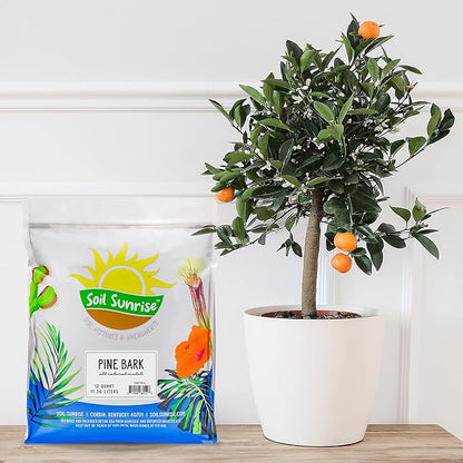 Soil Sunrise 100% Natural Pine Bark Mulch Nuggets (12 Quarts) Small Chips for Indoor/Outdoor Container Gardening, Ideal for Soil Supplement, Houseplant Topper, and Terrariums