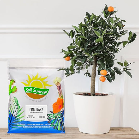 Soil Sunrise 100% Natural Pine Bark Mulch Nuggets (12 Quarts) Small Chips for Indoor/Outdoor Container Gardening, Ideal for Soil Supplement, Houseplant Topper, and Terrariums