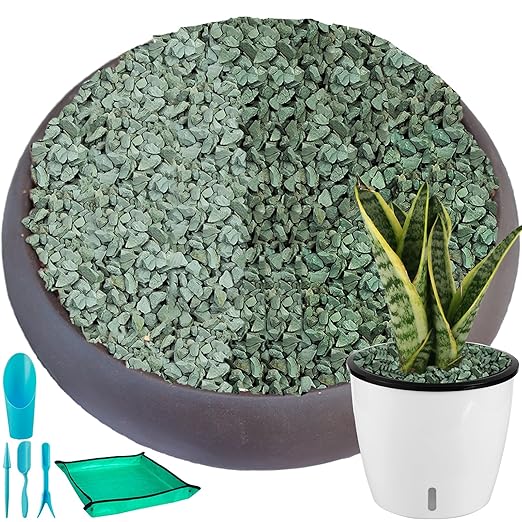 18 lbs Succulent and Cactus Bonsai Pebbles, 6-9mm Decorative Landscaping Stones Natural Garden Gravel Rocks for Indoor Outdoor Plants Aquariums DIY, and Gardening Top Dressing, Green Zeolite