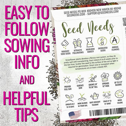 Seed Needs Strawflower Seeds for Planting - Heirloom & Open Pollinated Annual Flower Seed - Grow a Colorful Mix of Wildflowers for a Butterfly Garden, Bouquets & Floral Arrangements (1 Pack)