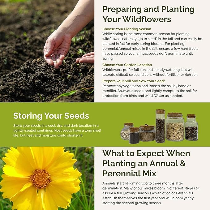 Eden Brothers Hawaii Wildflower Mixed Seeds for Planting, 1 lb, 480,000+ Seeds with Sunflower, Coneflower | Attracts Pollinators, Plant in Spring or Fall, Zones