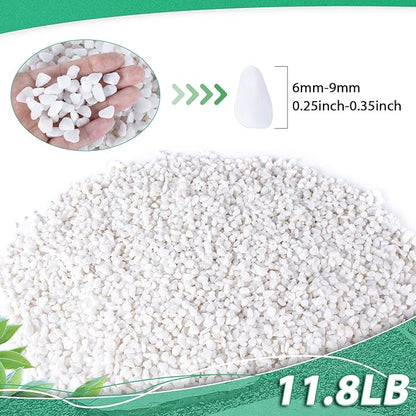 Succulent Rocks for Plants Tiny Pebbles for Planters 11.8LB Pea Gravel Bulk Course Sand Soil Small Decorative Stones for Indoor Bonsai Pots Cactus Top Dressing Aquarium Garden Landscape,White