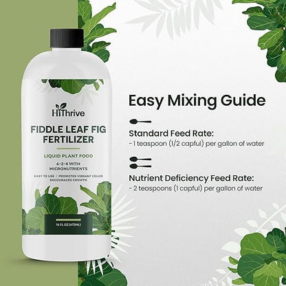 16oz Fiddle Leaf Fig Plant Food - Makes 96 Gallons of Fertilizer, Liquid Houseplant Fertilizer for Ficus Plants, Ideal Fiddle Leaf Fertilizer, 6-2-4 NPK Ficus Plant Food for Strong, Healthy Growth