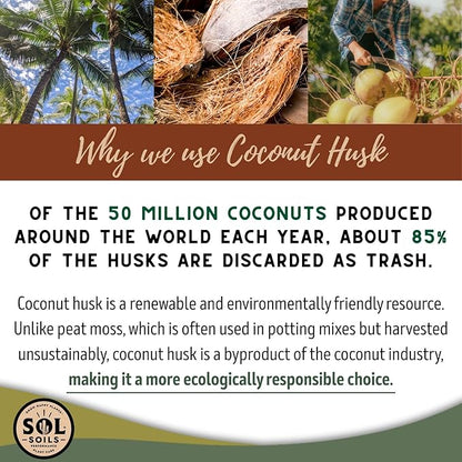 Sol Soils Chunky Orchid Potting Mix - 100% Peat-Free, Lightweight, and Aerated with Coconut Husk, Perlite & Recycled Forest Products for Fast Draining, Healthy Orchids - 1 Quart