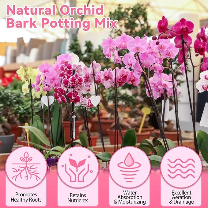 Riare 2QT Orchid Potting Mix, Natural Orchid Bark Potting Mix Soil Medium with Pine Bark and Perlite, Premium Orchid Repotting Kit for Phalaenopsis Dendrobiums, Enhanced Drainage & Root Expansion