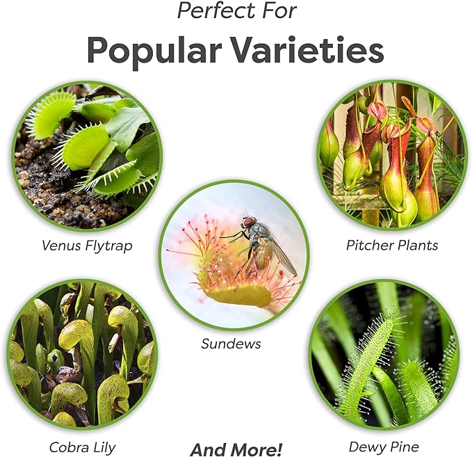 Perfect Plants Carnivorous Plant Soil | Organic Premium Mix | Use with Venus Fly Traps, Pitcher Plants, or Other Carnivorous Plants (4 qts.)