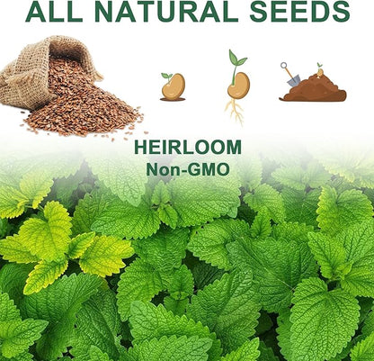 Gourmet Herb & Salad Seed Pod Kit, 8 Pod (Include Seed Basil/Mint/Thyme/Romaine/Butter Head/Red&Green Leaf) Lettuce Seed Pod Kit Compatible with All Hydroponics
