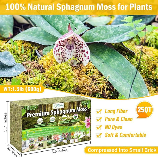 Riare 1.3LBS Premium Sphagnum Moss for Plants- 25QT Natural Dried Plant Moss for Potted Plants, Orchid Moss for Repotting, Soft Green Decorative Moss for Succulents, Reptiles & DIY Crafts