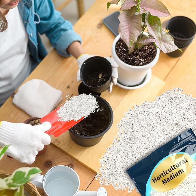 Horticultural Perlite Plants 1qt, Chunky Perlite Bulk for Gardening, Soil Amendments to Improve Soil Aeration & Dranage for Houseplant