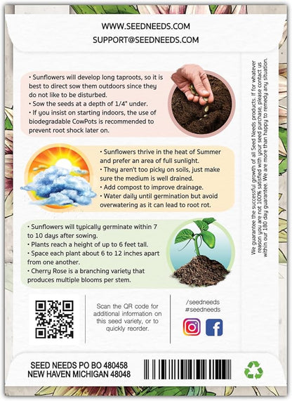 Seed Needs Sunflower Seeds for Planting Cherry Rose Sunflowers - Hybrid Flowers with Unique Bi-Colors for an Outdoors Flower Garden - Great for Cut Flowers in Bouquets & Floral Arrangements (5 Packs)