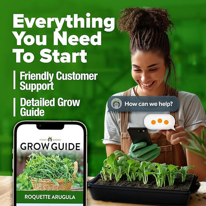 HOME GROWN Non GMO Arugula Roquette Seeds Pack 2,175 Heirloom Arugula Seeds for Planting Best for Outdoor Gardens,Providing Fast-Growing Greens for Salads - Eruca vesicaria