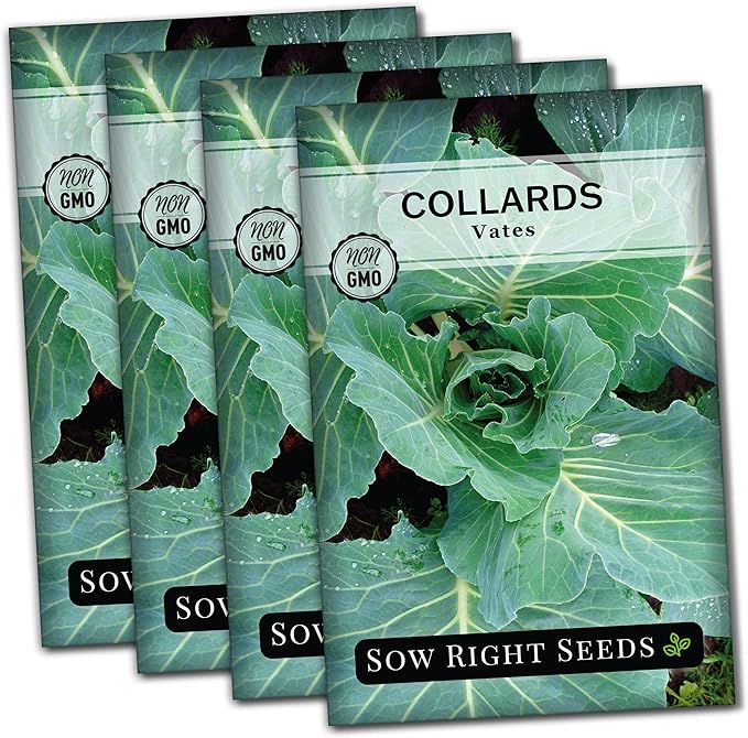 Sow Right Seeds - Vates Collard Greens Seeds for Planting - Non-GMO Heirloom Packet with Instructions to Plant a Home Vegetable Garden - Nutritious and Classic Cooked Southern Greens (4)