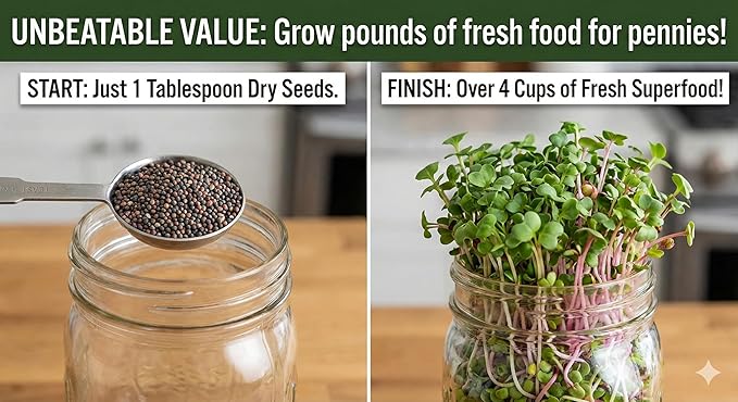 Todd's Seeds Broccoli and Friends Sprouting Seed Mix: Broccoli, Crimson Clover, Red Radish, Alfalfa, Non-GMO, Chemical Free, High Germination (1/4 Pound)