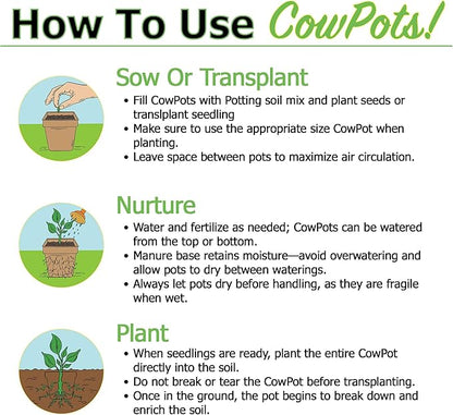 Park Seed CowPots 4-inch Tall Square Nitrogen-Rich Plant Seedling Starter, Set of 12