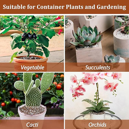 Riare 4 Quarts Organic Perlite for Plants - Horticultural Perlite Soil Amendment for Plants Potting Mix, Natural Chunky Perlite Soil Additive Conditioner Improve Root Growth, Drainage and Ventilation